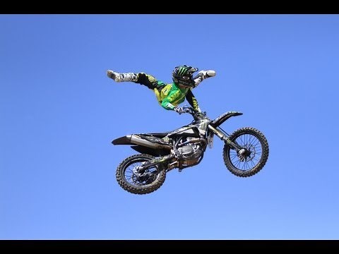 Dirt Shark- Potter's with TAKA & BILKO