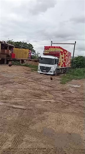 Junior o menino do ACCELO @Galera do Frango ®