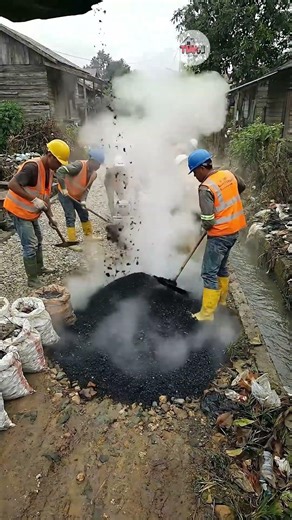 Transformation | Timelapse