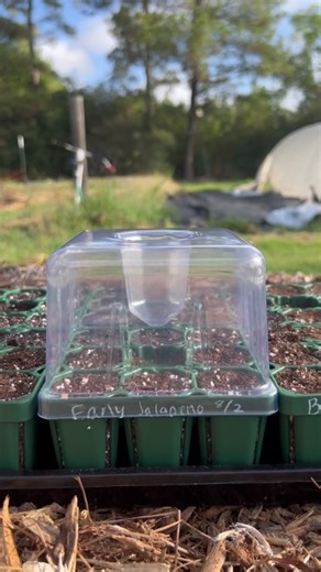 Innovative Drip Irrigation System for Seedling Tray Lids