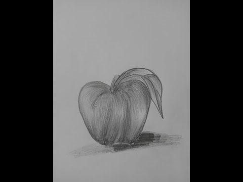 Easy Apple Sketch | How to Draw an Apple Step by Step for Beginners