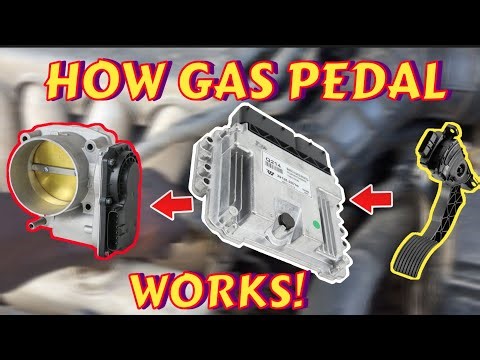How gas pedal works - how it controls your car power:
