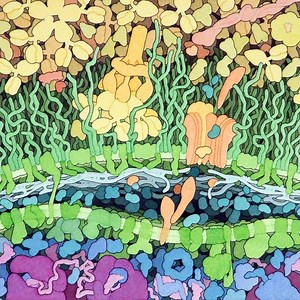 David Goodsell - Alchetron, The Free Social Encyclopedia