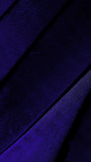 🇮🇳👏🏾 © Akhil Kadakkal Visit ◾️ PSC Trolls #pscexams #psctrolls #PSC #keralapsctips #keralapsc #brazil | PSC Trolls