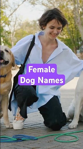 Top 10 Modern Female Dog Names | Catchy Dog Name Ideas #dognames