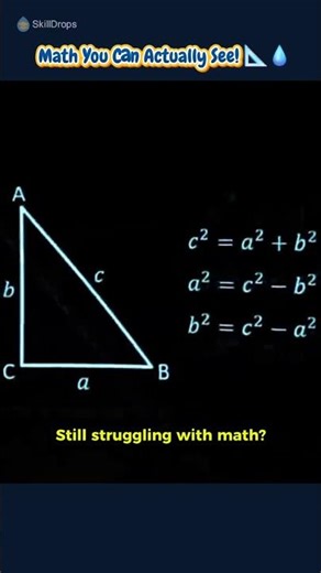 The Pythagorean Theorem: A Visual Proof with Water 📐💦 #Maths #Formula #Science #Shorts #Video #FYP