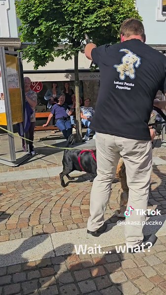 Discover the Fascinating World of Marionette Art