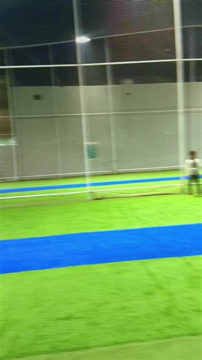 Cricket Passion: Six Unique Ways to Enjoy the Game Indoors