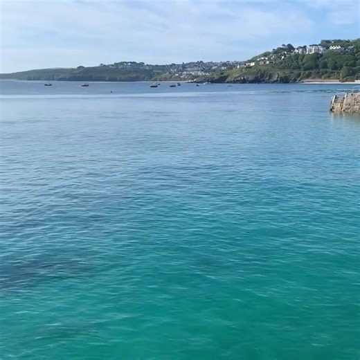 So easy to fall in love with St Ives this summer ! | Cherished Cottages