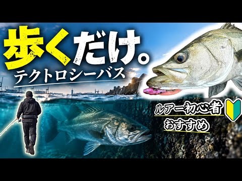 【ルアー入門】初心者でも手堅くデカい魚が釣れる！［完全解説］テクトロシーバス攻略3つの極意〜簡単歩くだけ