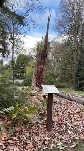 Have you heard about Adventure Lab®? #geocache #geocaching #geocachingcom