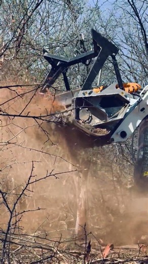 UML/SSL: la trituradora forestal FAE que lleva tu minicargadora al máximo 🌲