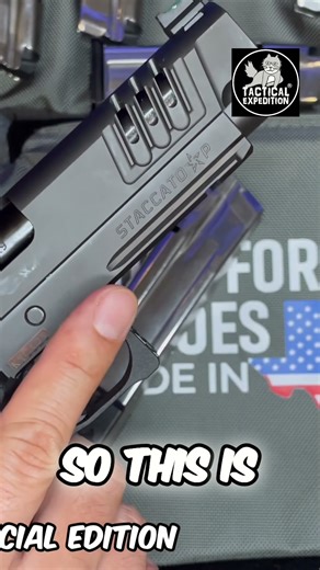 Perfect Handgun Mods: Wishlist & RMR Sight Deep Dive #shorts