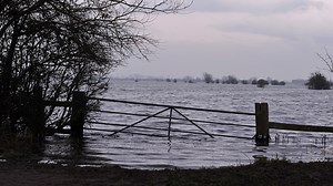 Somerset Levels: to dredge or not to dredge?