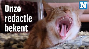 102K views · 118 reactions | Dit weekend in Het Nieuwsblad Magazine: het meest eerlijke interieurnummer | Nieuwsblad.be | Facebook