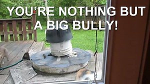 84K views · 471 reactions | In a great battle of the minds, pet owner Jordan Randomness attempts to reason with a grumpy talking cat through a glass door :D | Rumble Cats | Facebook