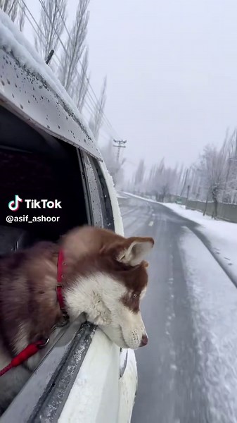 #rozi #asifashoor #foryou #explorepakistan #ExploreSkardu