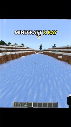 Minecraft No Mod X-ray Trick 🤯