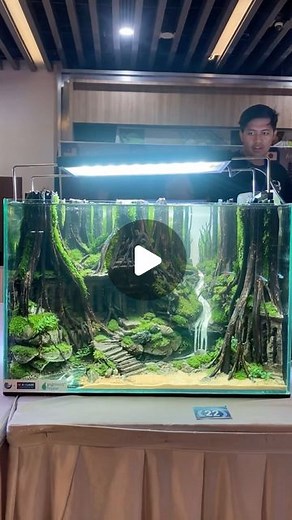 Aquair Indonesia | Lomba Aquascape ☘️ #aquascape #aquascapeindonesia #aquascaping #aquascaper #aquascapedesign #aquascapeindo #art #nature | Instagram
