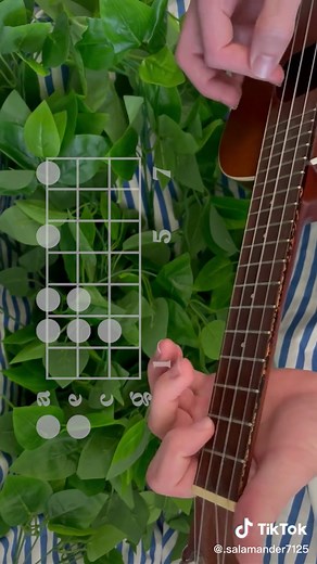 One Piece - Bink's Sake #onepiece #binkssake #anime #ukulele #tutorial #luffy #zoro #song #music #cover #howto