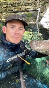 RUN ZIGZAG IF GATORS CHASE YOU?!? NOPE, not real!! They are NOT terrestrial pursuit predators, as in they are built for aquatic ambush NOT for chasing on land! By far one of the most common gator myths is that they’ll chase you on land and you should run in a zigzag! Not true!!! Even when I have a bucket of chicken in my hand I have never had a gator “chase me” faster than I could power walk to get away. A common explanation for being "chased" by a snake/gator is when the person gets between the