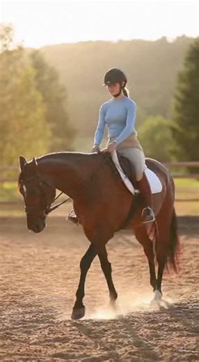 Learning about basic horse riding techniques and simple safety practices can help make riding experiences more balanced and comfortable. From posture awareness to gentle handling habits, these everyday insights offer a clearer understanding of how riders stay steady and confident. | Sean