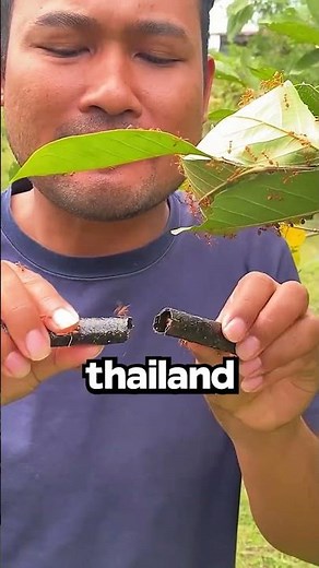 Eating Ants Alive?!😳