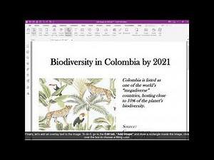 ワコム | Foxit PDFの紹介（画像の編集）