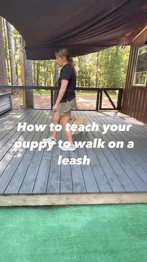 443K views · 1.4K reactions | 樂樂Think of what you strive for when you...