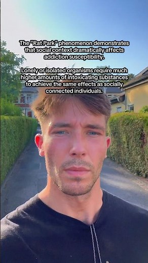 the rat park experiment explained addiction better than any drug study