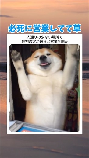 必死に営業してて草 #お笑い #おもしろ #tiktok #shorts #可愛い #おすすめ