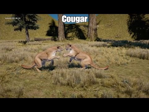 Far Cry 5: Cougar Hunting and Killing animals