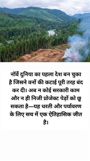 नॉर्वे: दुनिया का पहला देश जिसने वनों की कटाई पर पूरी तरह बैन लगाया Norway Zero Deforestation Policy