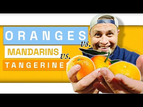 Citrus Smackdown - What's The Difference Between Oranges, Tangerines and Mandarins? | Chefs Produce