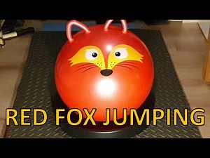 🌡️ Red Fox Space Hopper Heatstretch