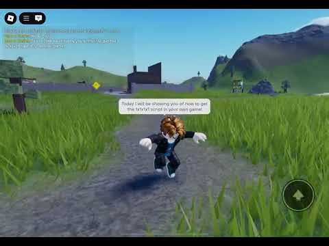 How to get the 1x1x1x1 script