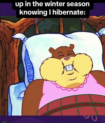 Don’t do it #spongebob #patrickstar #sandycheeks #hibernation #hibernate #winter #funnymeme
