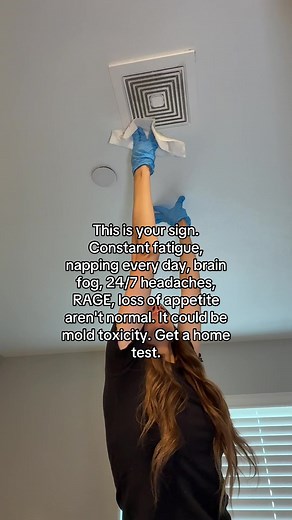 Understanding Mold Toxicity Symptoms and Home Testing