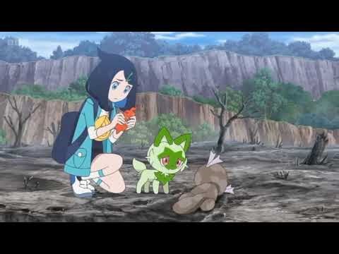 Wooper and Quagsire Pokédex Entries..wmv