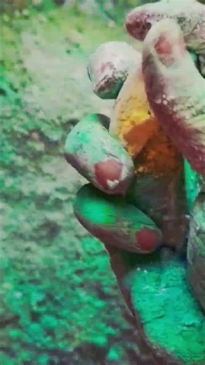 Powder Brush ASMR #gymchalk #asmr #asmrchalkgermany #shorts #ytshorts #trending #viral #crunchy