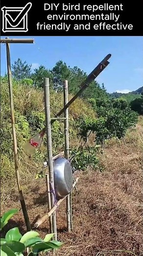 DIY bird repellent environmentally friendly and effective