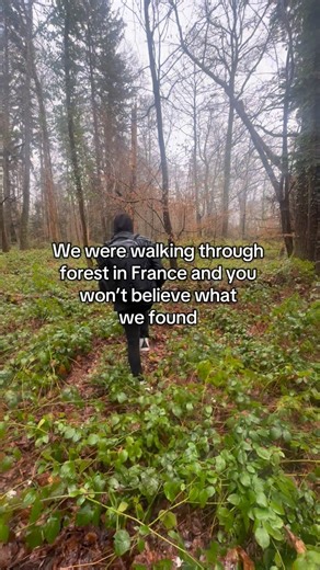 Alex Bronder on Instagram: "This is one of the craziest things I’ve ever found… a classroom inside a cave. So many questions come to my but the biggest one that comes to mind is how the heck did that car get down here lol?? . . . . . #abandoned #urbex #abandonednashville #urbandecay #decay #urbanexplorer #abandonedplaces #abandonedtennessee #explore #urbanexploration"