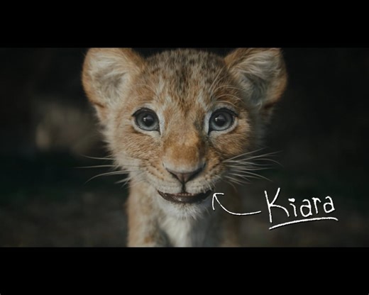 38K views · 1.5K reactions | Did you recognize all the roarsome Lion King references in "Mufasa: The Lion King"? Learn about the movie's Easter eggs, known as "Ostrich eggs", in this featurette included in the bonus content of the at-home release of the film. ✨️女✨️ #TheLionKing #LionKing #TLK #Mufasa #Disney #MufasaTheLionKing | The Lion Guard | Facebook