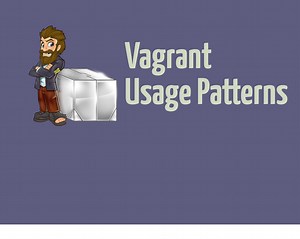 Vagrant Usage Patterns