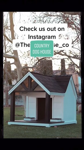 Step-by-Step DIY Dog House Project for Your Furry Friend