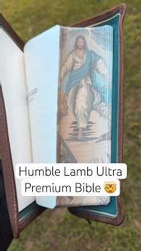 The Ultra Premium Bible Collection is UNREAL 🤯
