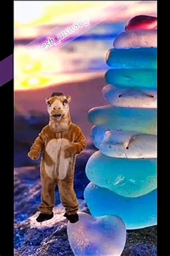 Camel Dance Funny Masti - video Dailymotion