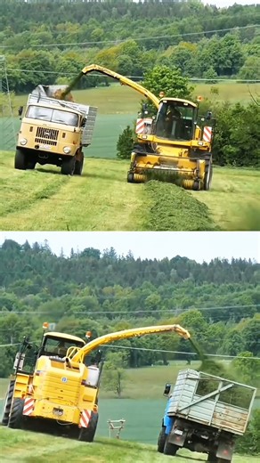 Modern Indian Agriculture Farming #shorts