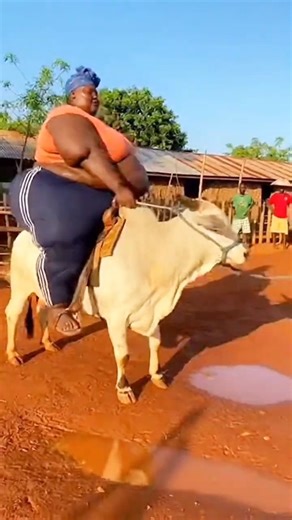 The ride wasn't approved by the cow! 🐄😁 #FunnyRide #CowFails #Viral #Shorts #Trending