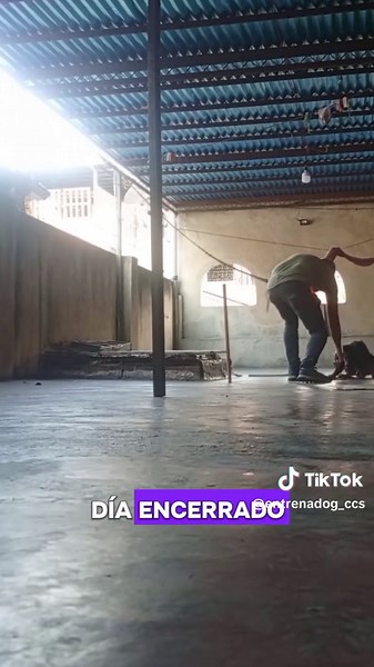 Causas de la agresividad en perros y sus soluciones